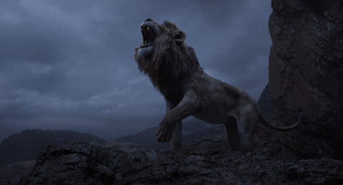 The Lion King - de zomer box office 2019