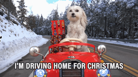 Afbeeldingsresultaat voor driving home for christmas gif