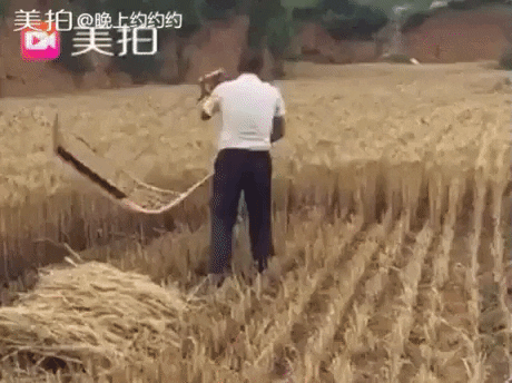 Harvesting hay in satisfying gifs