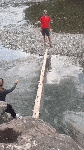 What could go wrong in crossing the river over log in fail gifs
