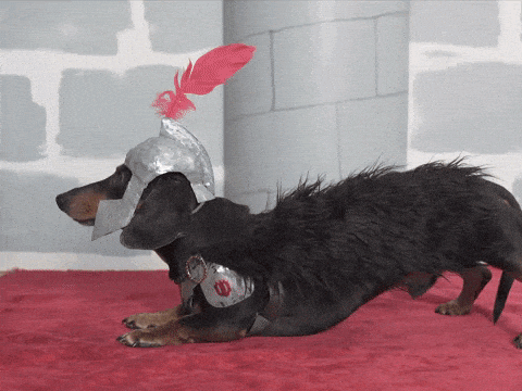 giphy-downsized-large.gif