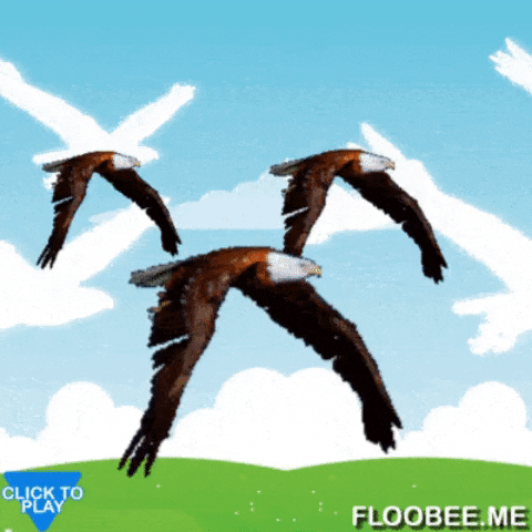 Flying eagles in gifgame gifs