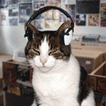 cat with headphones gif