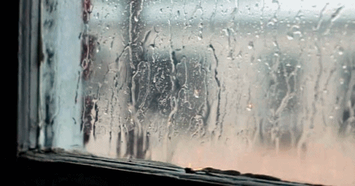 Rainy Day Rain GIF - Find & Share on GIPHY