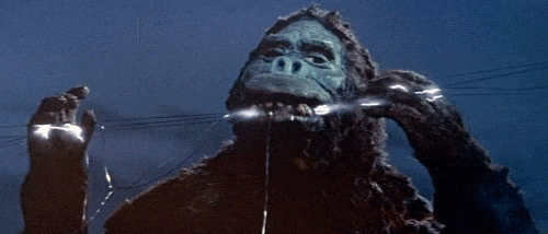 King Kong Vs Godzilla GIFs - Find & Share on GIPHY