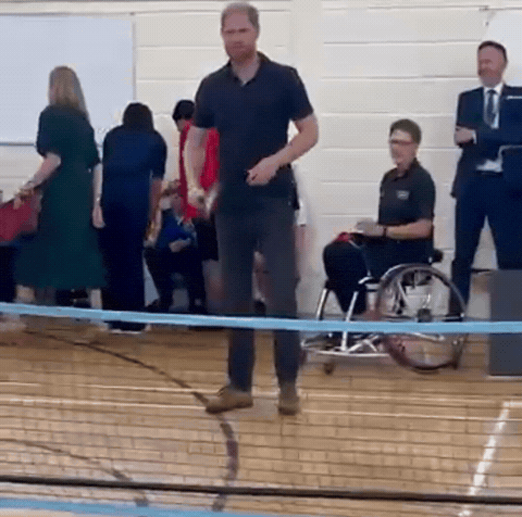TOCO67 Pickleball GIF gWhIWSE7jFgNFV8oFK