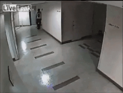 imagenes gif,imagenes graciosas, las mejores imagenes, imagenes graciosas, chistes, risas
