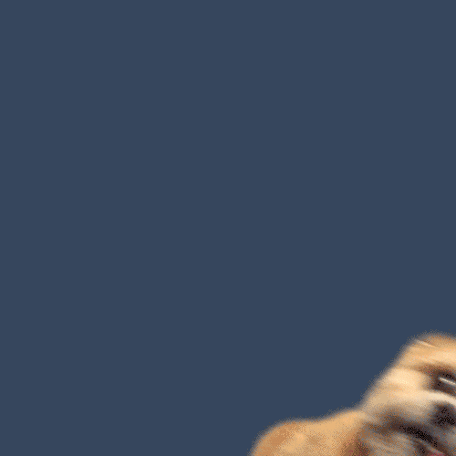 Scared Ariana Grande GIF Find & Share on GIPHY