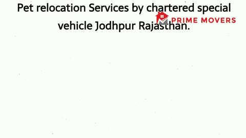 Pet transport service Jodhpur