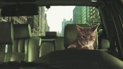 Car Get GIF - Find & Share on GIPHY