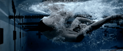Water Swimming GIF Find Share On GIPHY