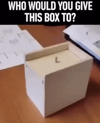 Who would you give this box to in funny gifs