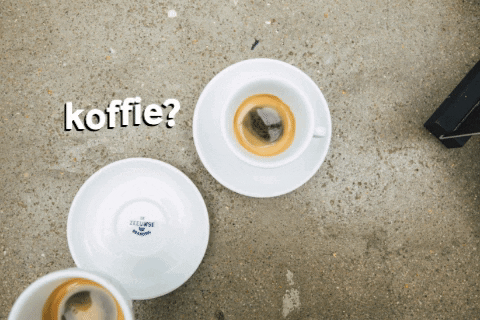 De Zeeuwse Branding GIF
