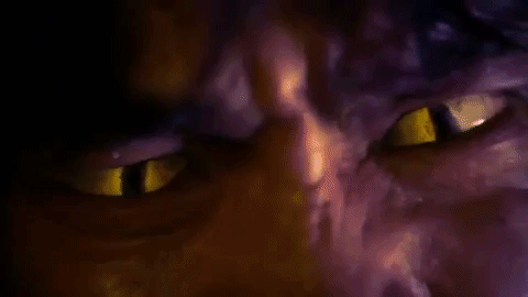 giphy-downsized-large.gif