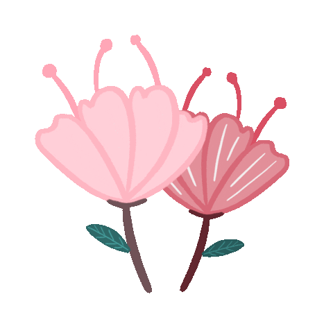 Flower Bunga  Sticker for iOS Android GIPHY