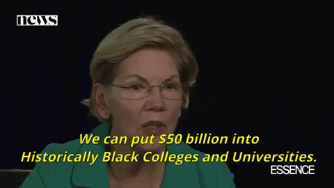 Elizabeth Warren Student Loan Debt GIF