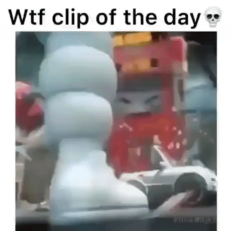 WTF gif of the day in wtf gifs