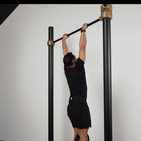 Weighted pull up demonstration