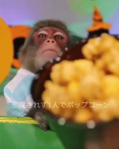 giphy.gif