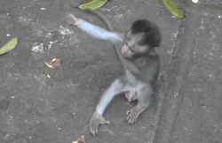 https://media.giphy.com/media/ghy1Bptt8iS4w/giphy.gif