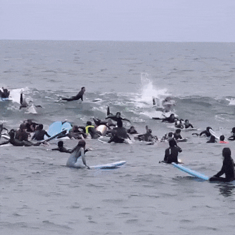 The wave of surfers in wow gifs