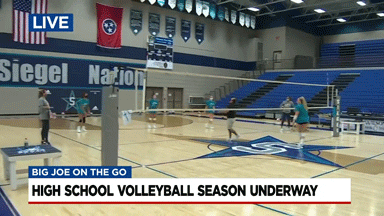 Volleyball GIF by WSMV News 4, Nashville