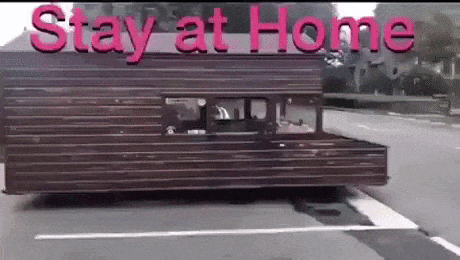 Stay at home in funny gifs