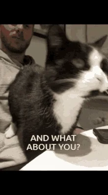 Black-and-white cat captioned: And what about you?
