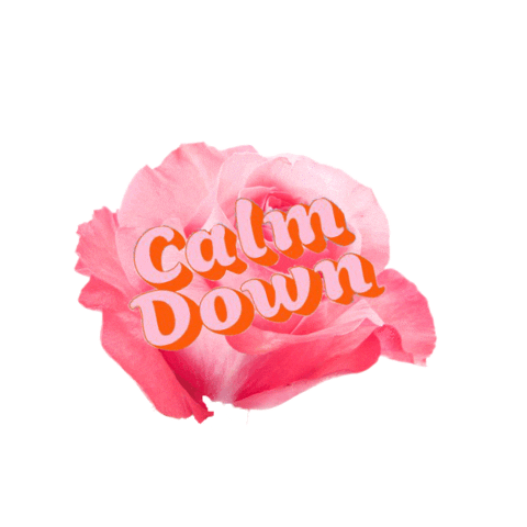 You Need To Calm Down Taylor Swift Sticker By Digster