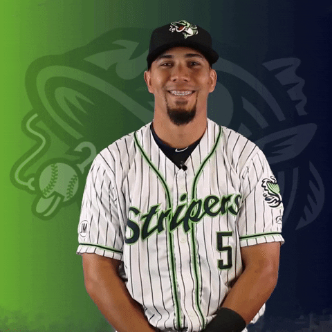 Gwinnett Stripers GIF