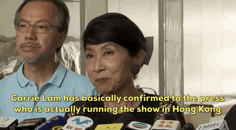 Carrie Lam GIF - Find & Share on GIPHY