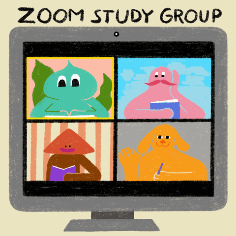 “zoom study”