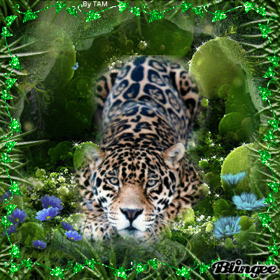 yellow1.gif (2273 bytes)