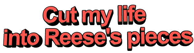 cut my life into pieces