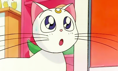 Sailor Moon Artemis GIF , Find \u0026 Share on GIPHY