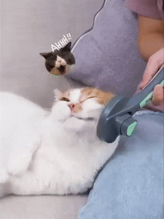 Felica™ Self Cleaning Slicker Brush – kittylush
