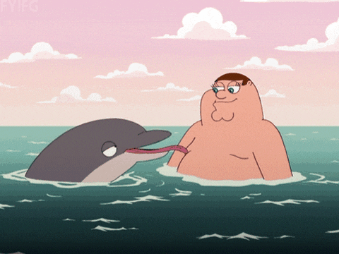 family guy funny dolphin peter griffin