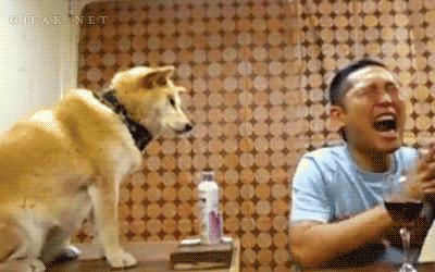 dog spraying man with air freshener 