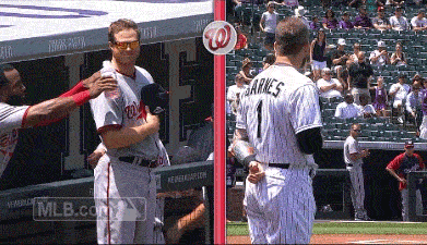 Col GIF by MLB - Find & Share on GIPHY