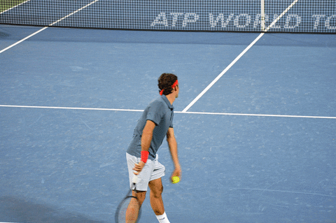 Roger Federer GIF - Find & Share on GIPHY