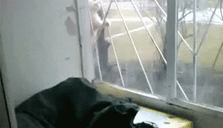 https://media.giphy.com/media/h1lZ8rqnmHGxO/giphy.gif