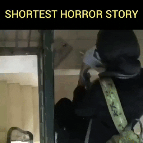Shortest horror story in funny gifs