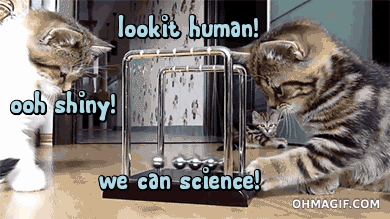 Image result for science of cats gif