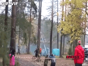 Dont Cut Trees in funny gifs