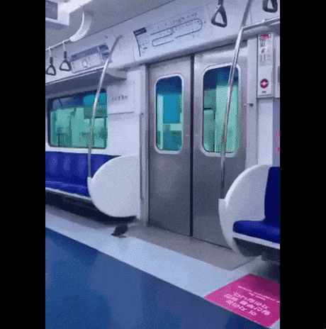 Yeah its my stop in funny gifs