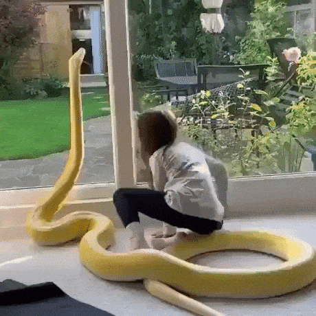 Long noodle buddy in wow gifs