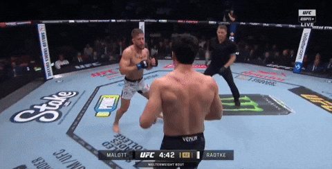 giphy.gif