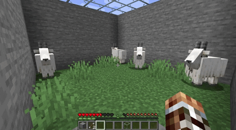 Goat ramming into player in Minecraft
