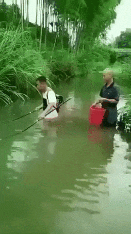 Go fishing they said It will be fun they said in fail gifs
