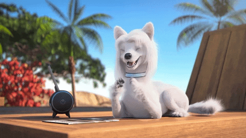 Happy Dog GIF by MightyMike - Find & Share on GIPHY